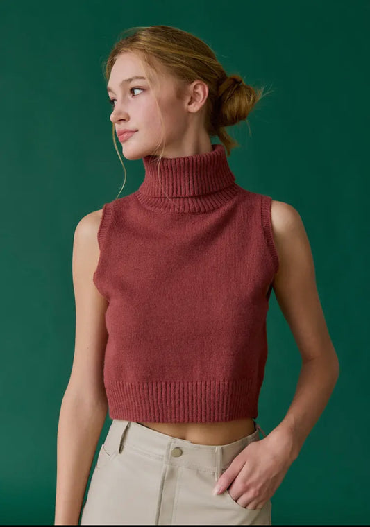 Lily Turtleneck Sweater